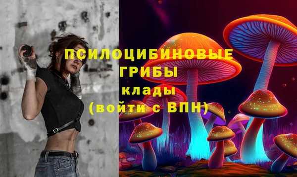 мескалин Надым