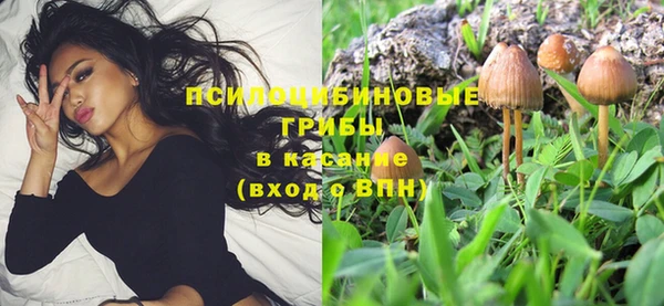 молекула духа Белая Калитва