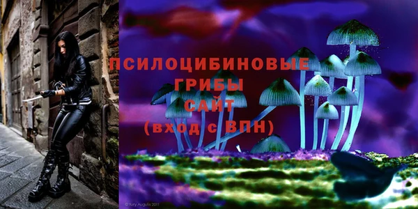 PSILOCYBIN Наволоки