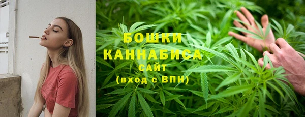 индика Михайлов