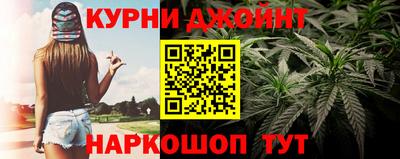 гашик Аргун