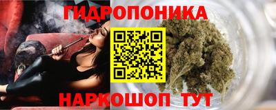 сатива Апшеронск
