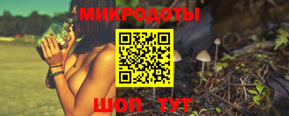 Павловский Посад  Галлюциногенные грибы ЛСД  Вход с VPN 